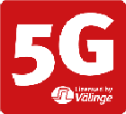 5G